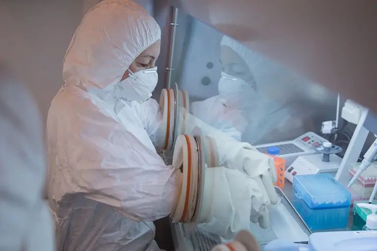 Rusia niega brote de peste en Siberia; OMS pide transparencia
